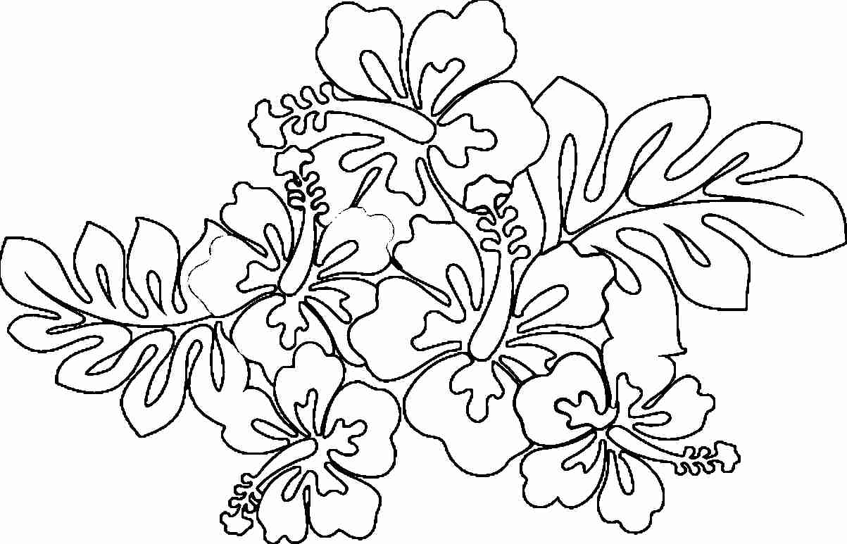 1203x773 Hawaii Coloring Pages To Print Printableiian Bright Luau Picture