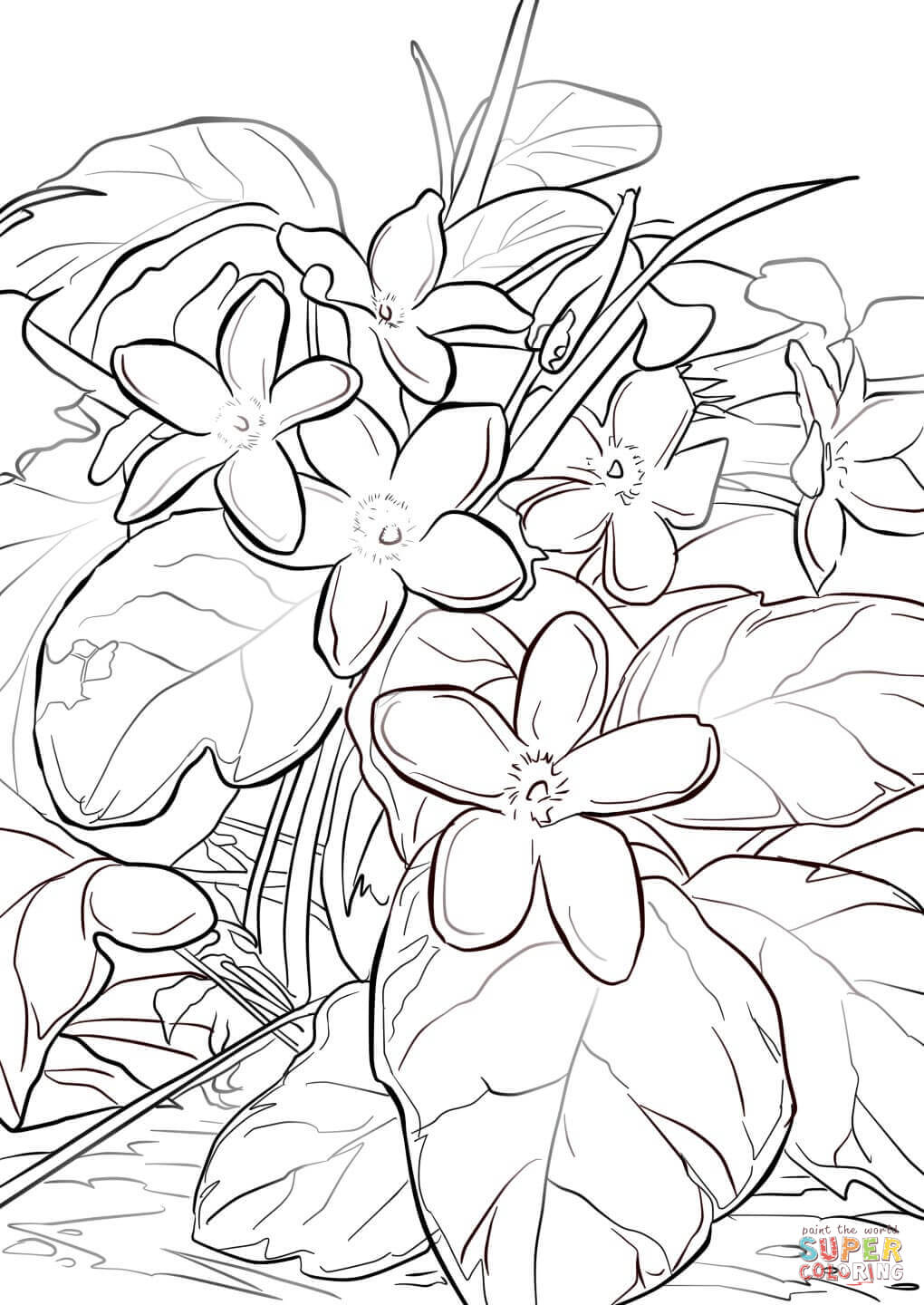 1020x1440 Mayflower Coloring Page