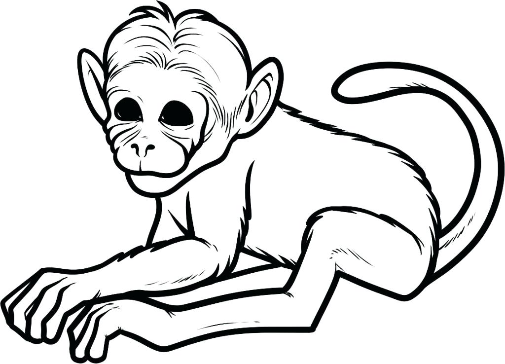 1024x738 Free Monkey Coloring Pages Curious Monkey Coloring Page Free