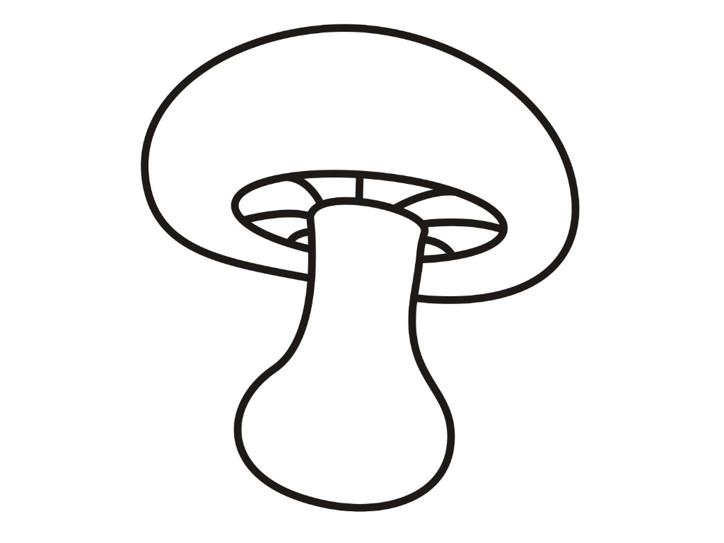 1024x768 Mushroom Coloring Pages Best Of Free Coloring Pages Of Mushroom