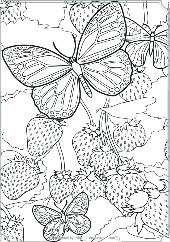 720x1024 Free Nature Coloring Pages Nature Coloring Sheets Sunflower