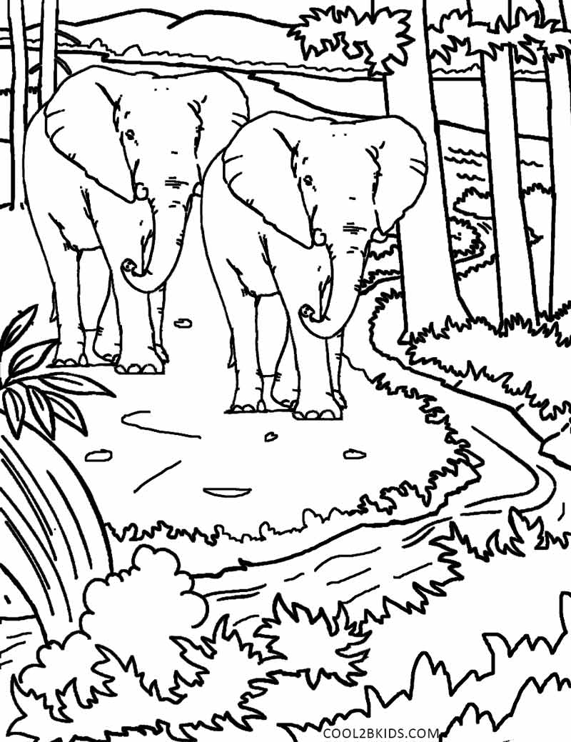 800x1039 Printable Nature Coloring Pages For Kids Cool2bkids