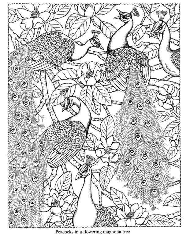 608x770 9 Best Color It! Images On Coloring Sheets, Adult