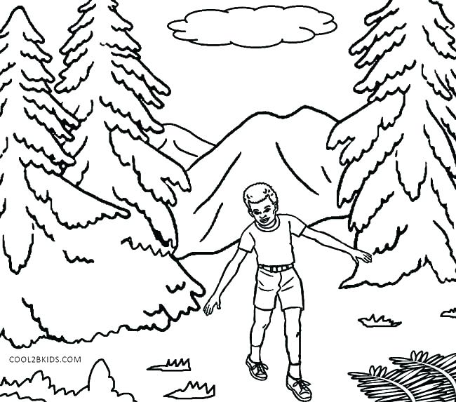 650x573 Nature Coloring Page Nature Coloring Book Plus Nature Coloring