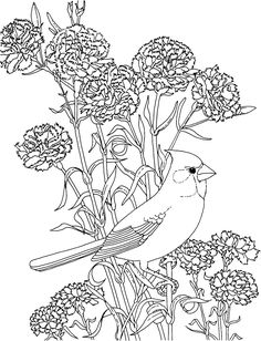 236x308 Nature Coloring Pages For Adults Free Printable Coloring