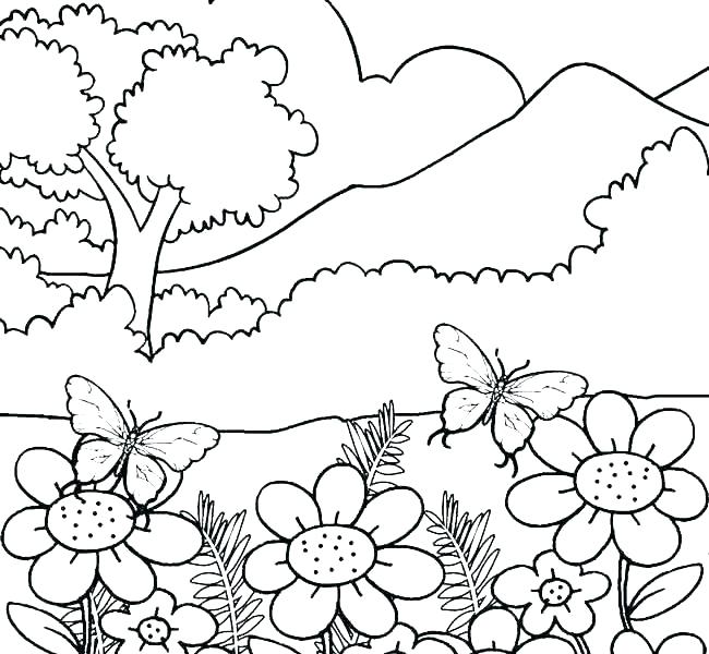 650x600 Nature Scene Coloring Pages Free Nature Coloring Pages Nature