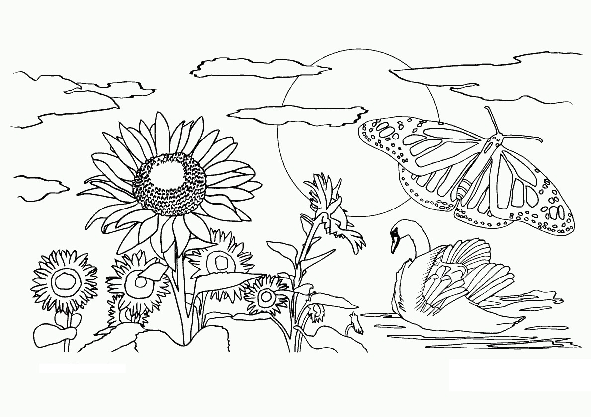 1189x840 Outstanding Free Printable Nature Coloring Pages For Adults Kids