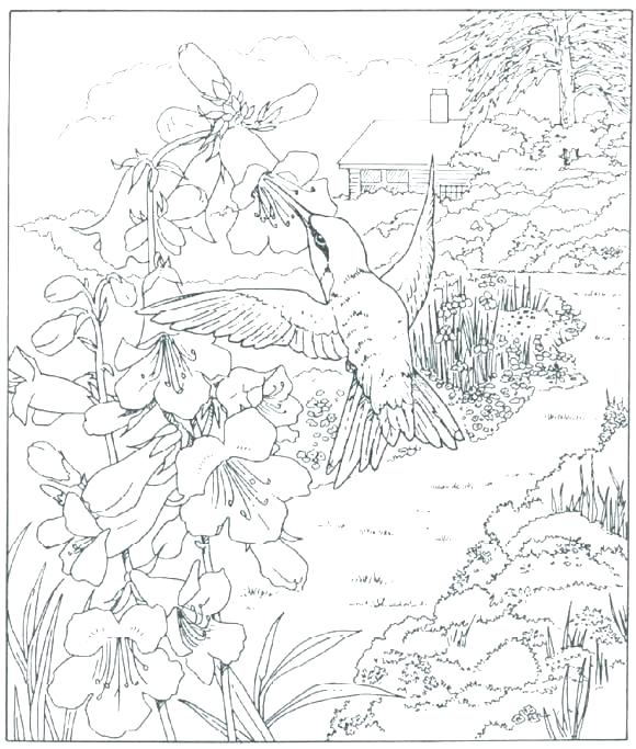 580x683 Coloring Pages For Adults Nature As Stock Vector Vector Coloring