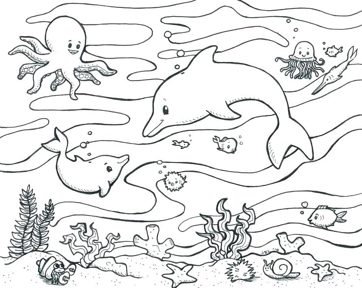 736x586 Free Ocean Coloring Pages