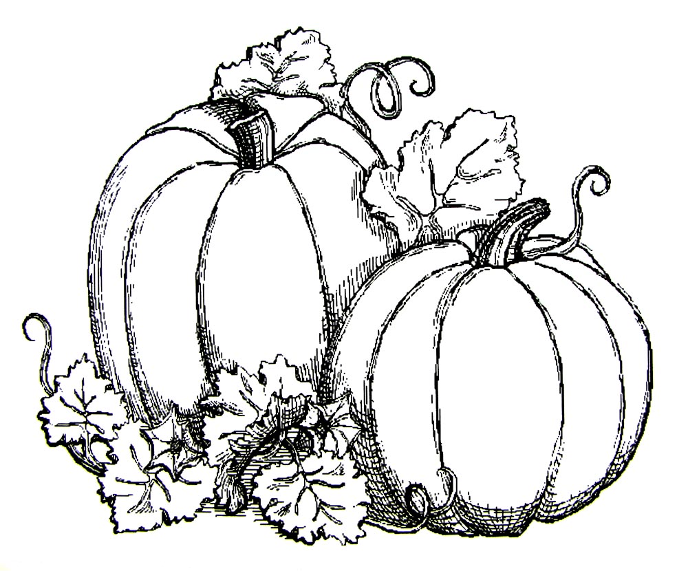 1000x830 Soar October Coloring Sheets Page Vitlt Com