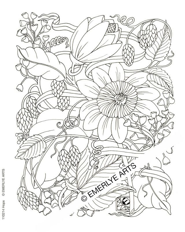 640x800 44 Online Coloring Pages For Adults, 10 Crazy Hair Adult Coloring