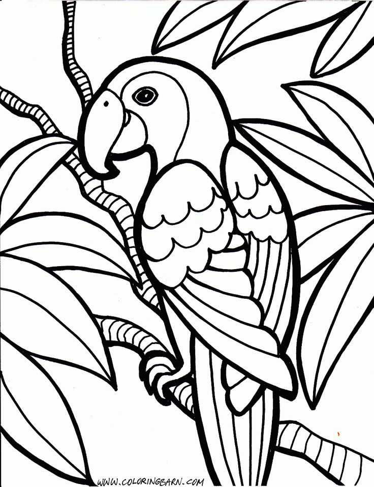Free Online Coloring Pages For Kids