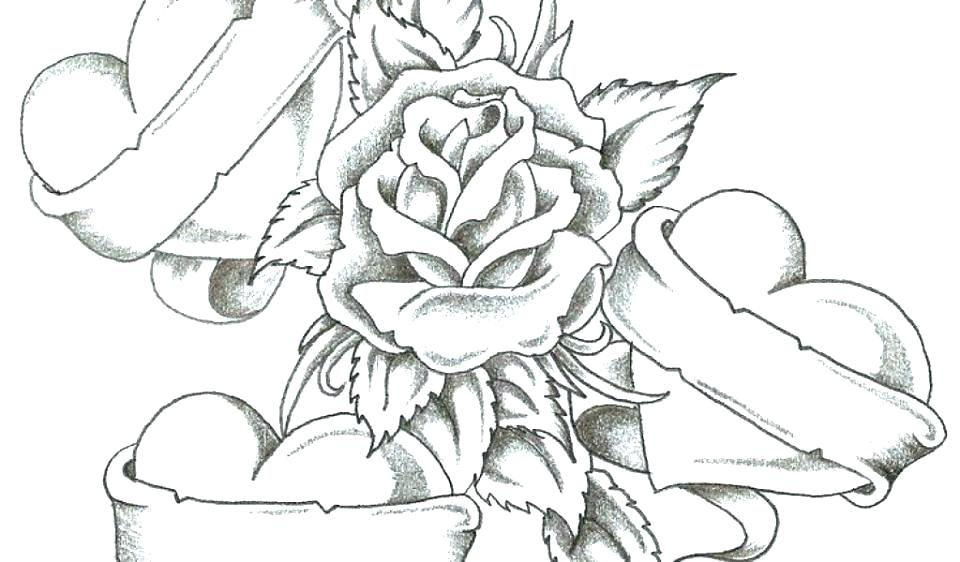 960x562 Roses Coloring Pages Rose Coloring Page Coloring Pictures Of Roses