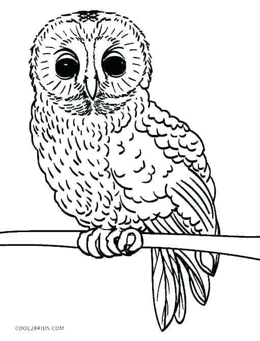 511x670 Halloween Owl Coloring Pages Cute Owl Coloring Page Owl Color