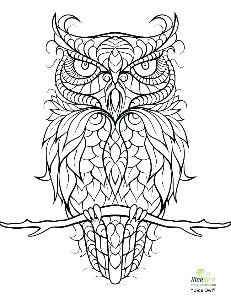 736x952 Owl Coloring Pages Owl Coloring Pages For Adults Free Printable