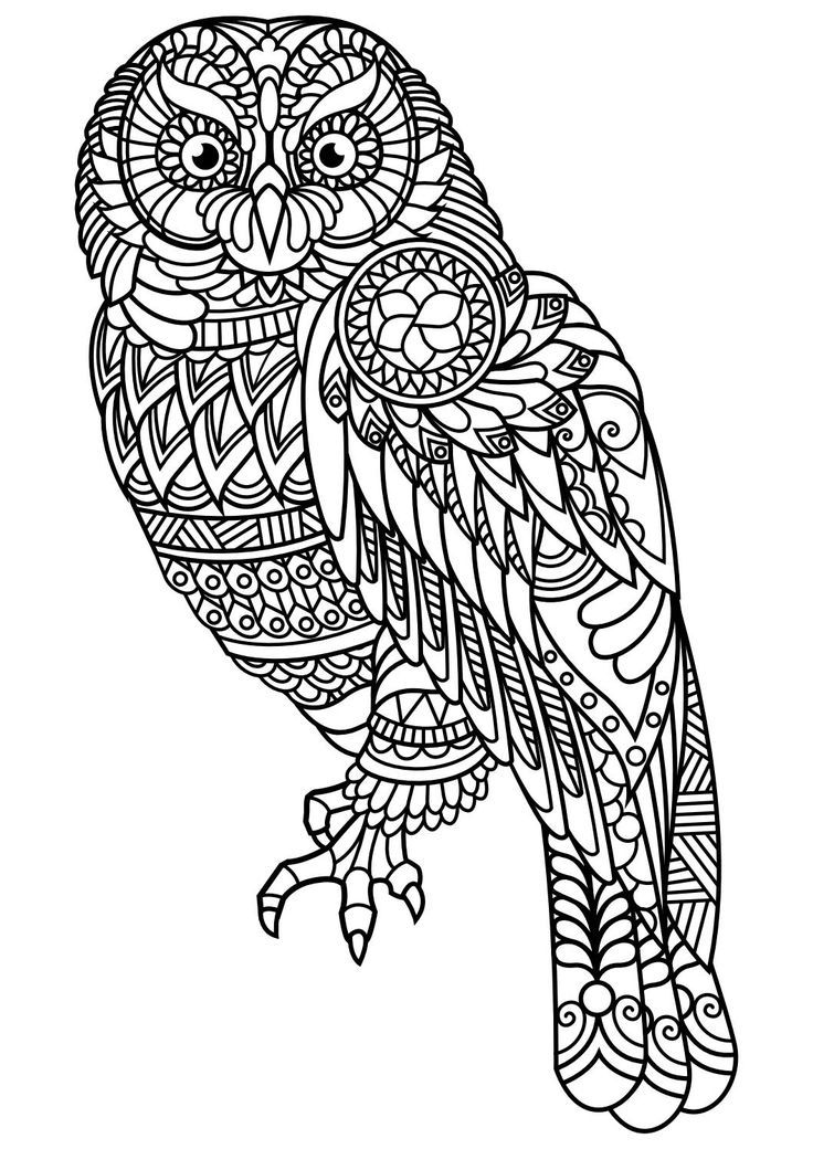 736x1040 Animal Coloring Pages Pdf Animal Coloring Pages Is A Free Adult