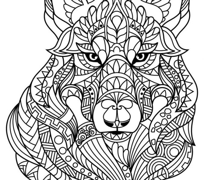 678x600 Free Pdf Coloring Pages Animal Coloring Pages Pdf Adult Coloring