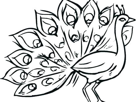 440x330 Peacock Coloring Pages Feather Coloring Page Photo Peacock