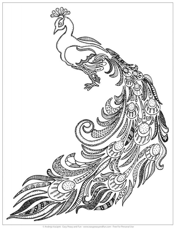 590x772 Peacock Coloring Pages For Adults 55d44106e78f4eb628e8939081fd009c