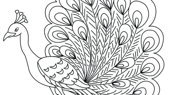 585x329 Peacock Coloring Pages Peacock Coloring Es For Adults Free