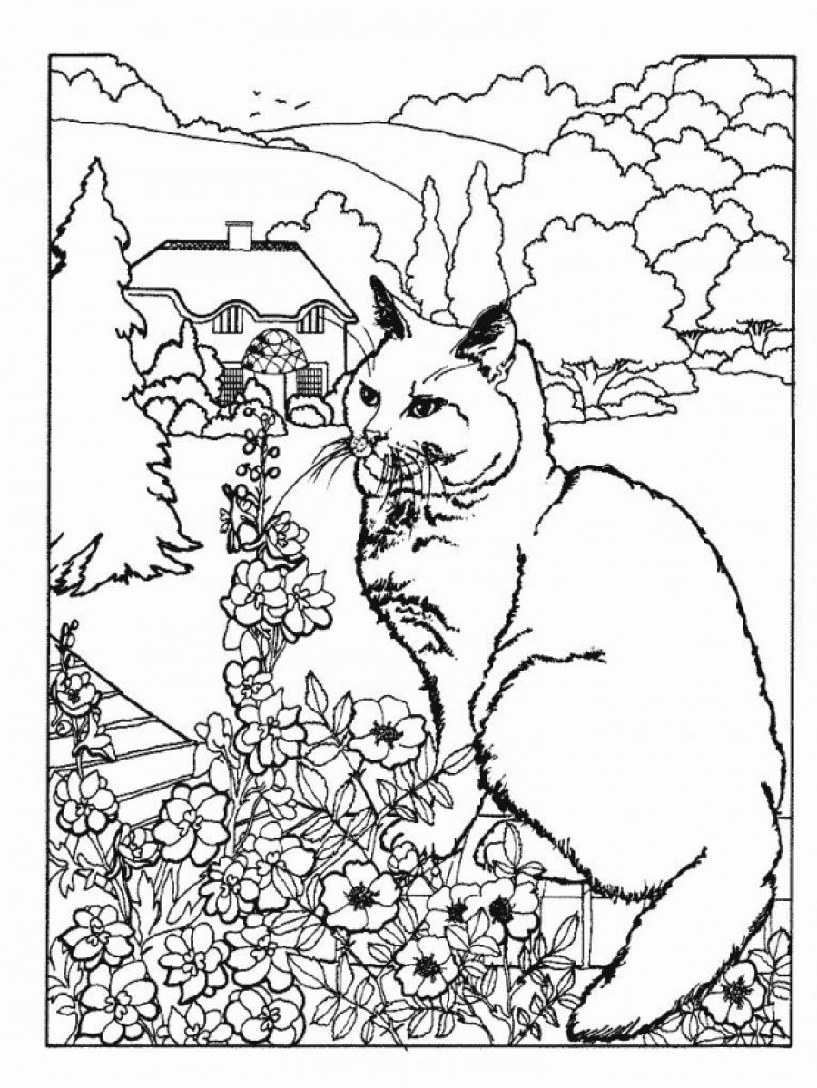 900x1199 Advanced Coloring Pages, Printable Advanced Coloring Pages, Free