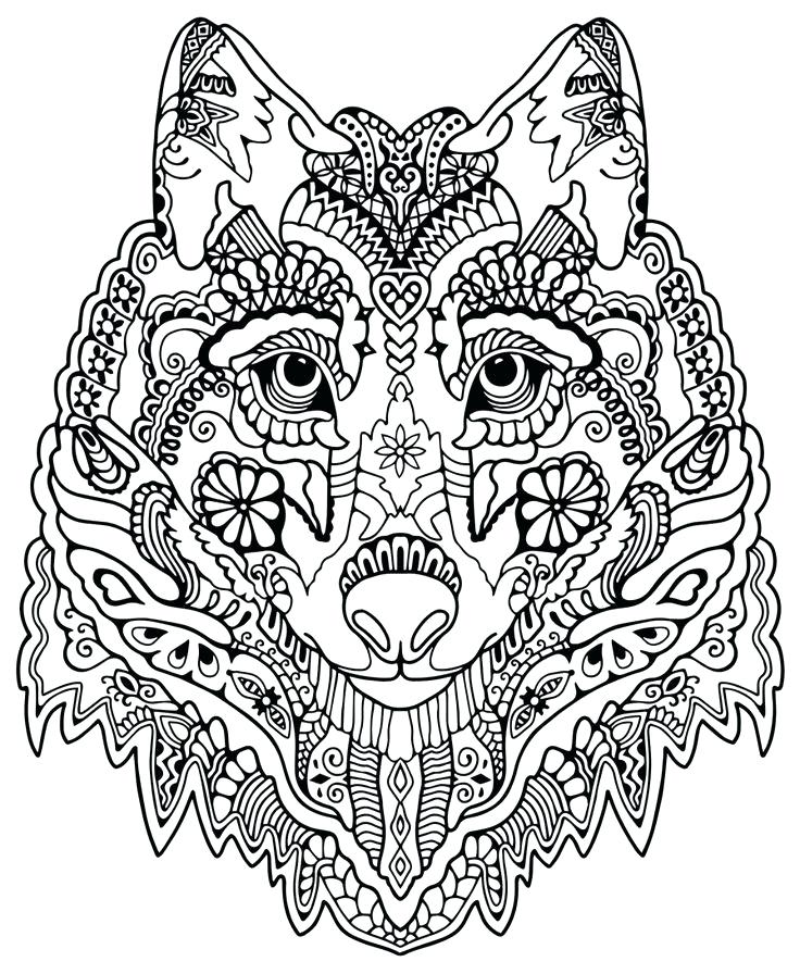 736x896 Forest Animal Coloring Pages Pattern Animal Coloring Pages