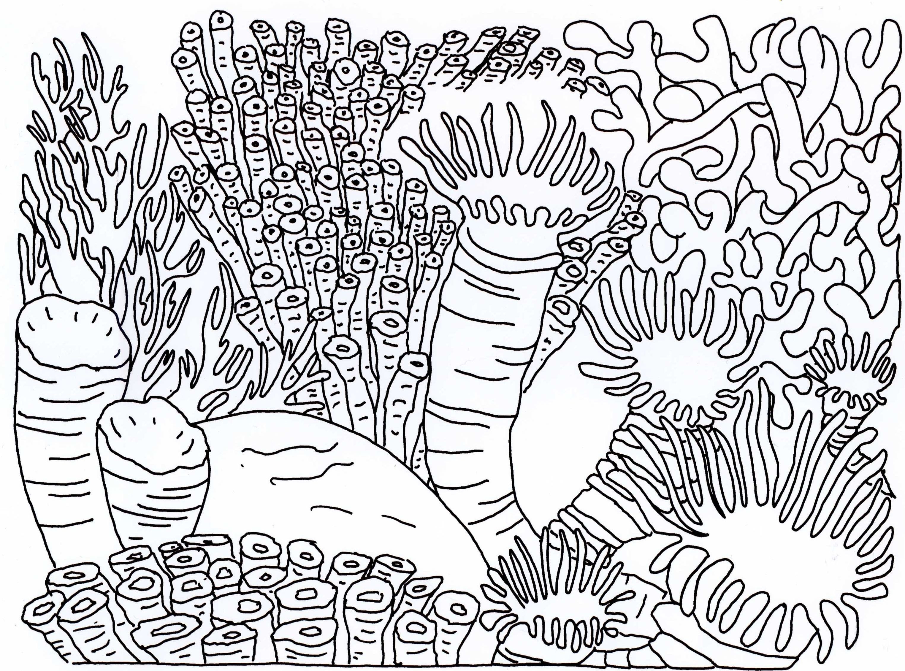 3049x2261 Fresh Anchor Sea Life Coloring Pages Printable Free Colouring