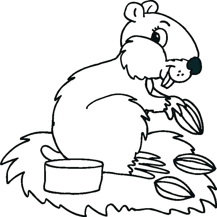 737x738 Color Pages Of Animals Free Printable Animal Coloring Pages