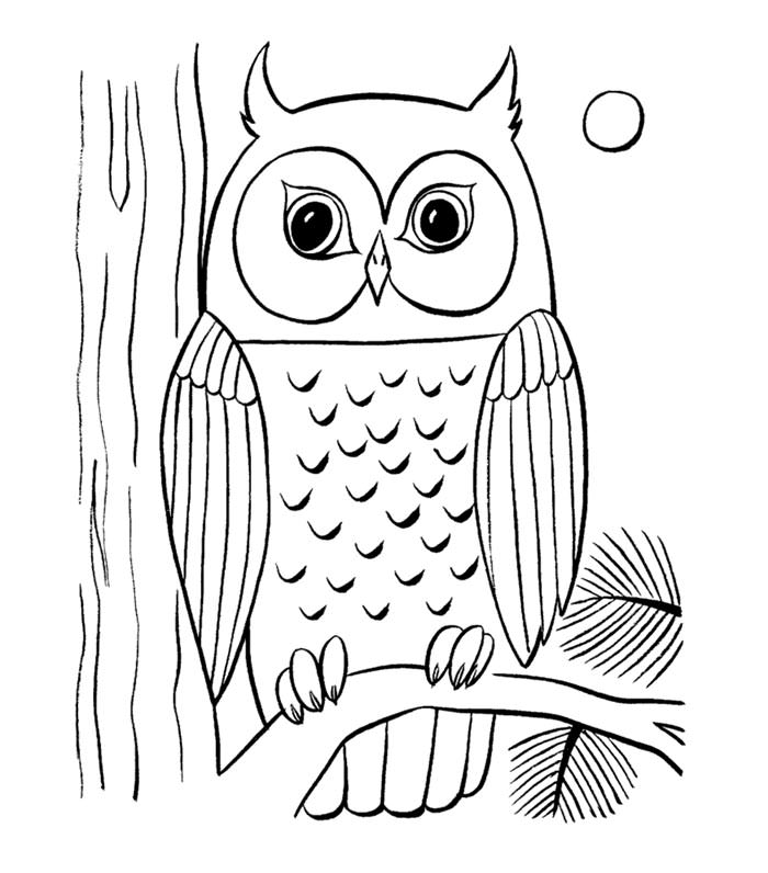 700x796 Coloring Pages Free Download 70 Animal Colouring Pages Free
