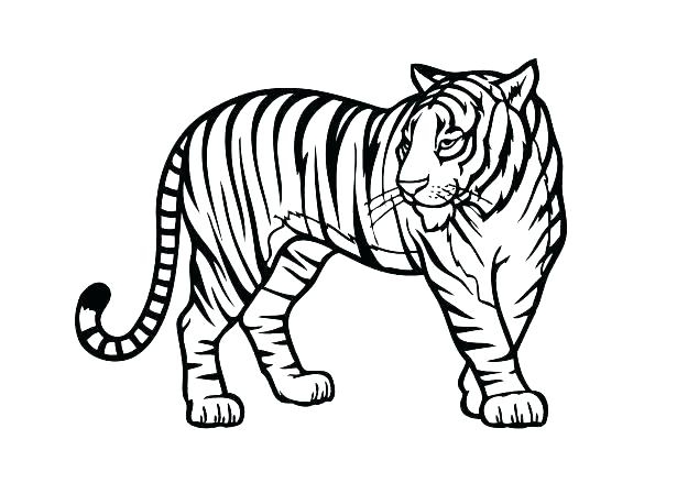 615x439 Jungle Animals Coloring Page Kids Coloring Pages Kids Coloring