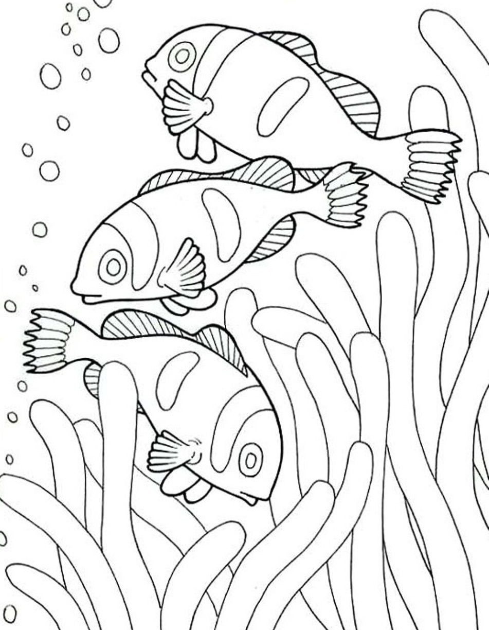 951x1224 Awesome Sea Animal Coloring Pages Printable Free Gallery