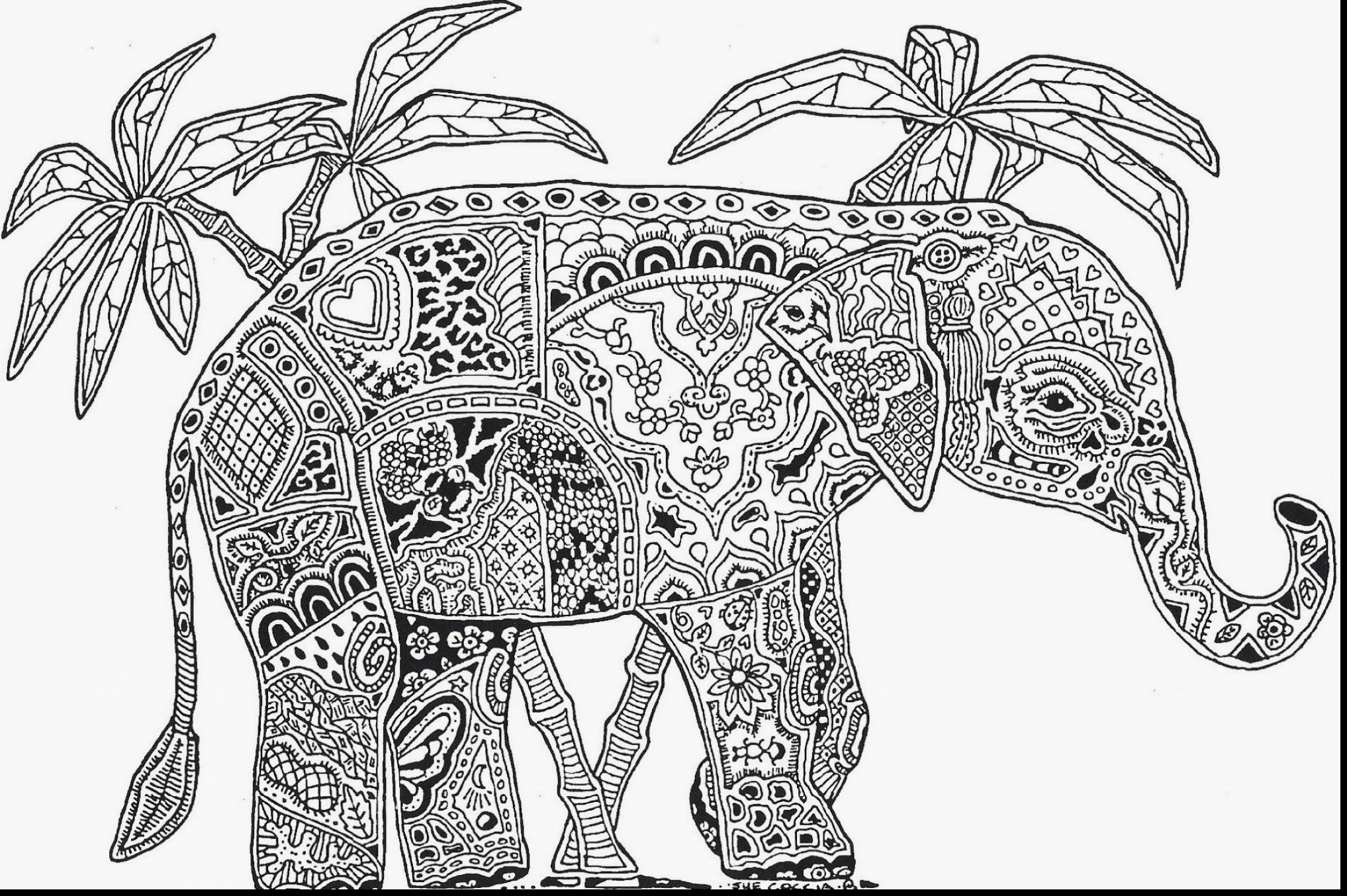 2035x1354 Awesome Animal Mandala Coloring Pages Pdf Collection Great