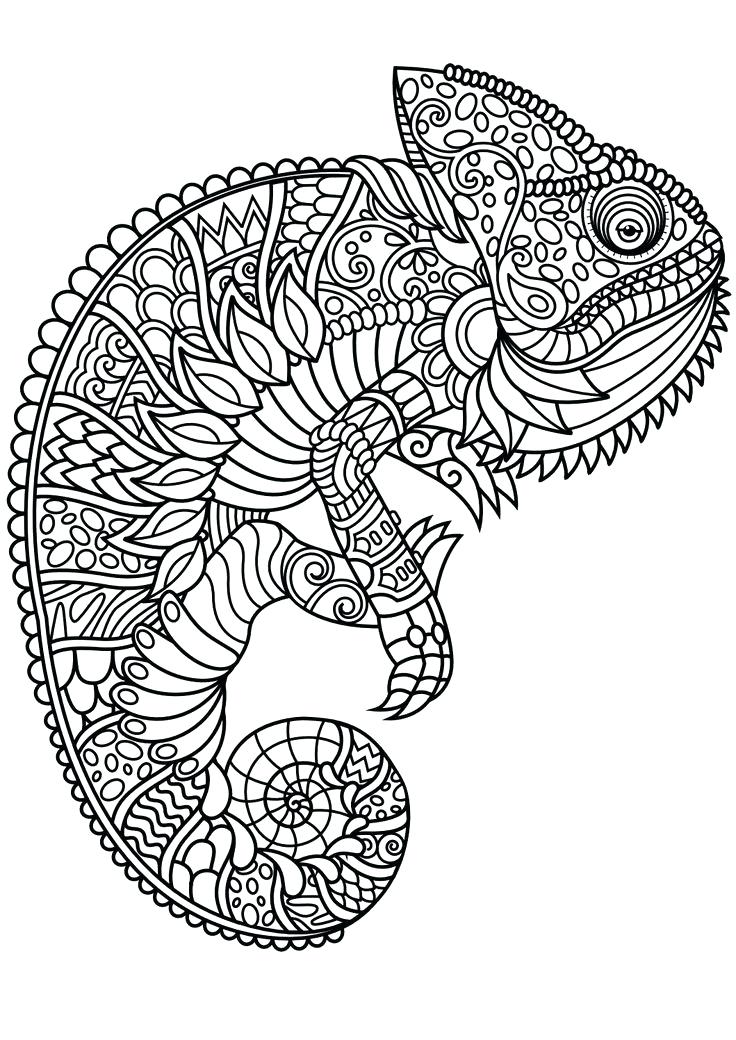 736x1040 Mandela Coloring Pages Intricate Mandala Coloring Pages Animal