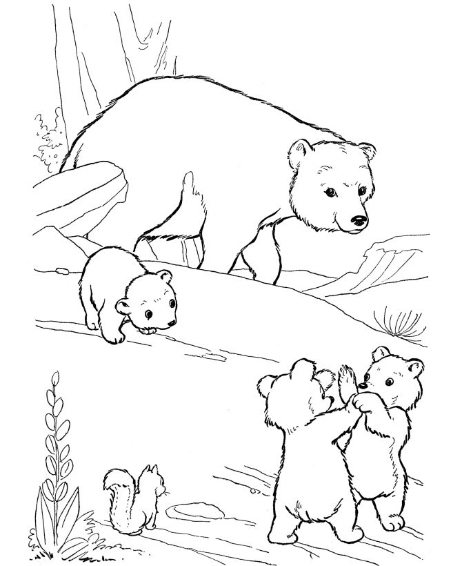 670x820 Printable Bear Coloring Pages Best 25 Bear Coloring Pages Ideas