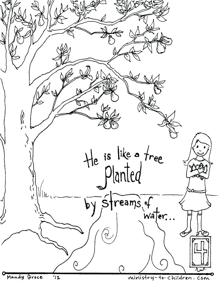 736x955 Preschool Sunday School Coloring Pages Free Printable Bible