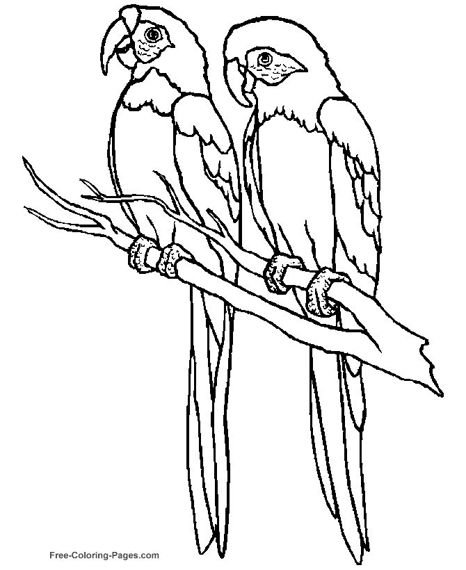670x820 Bird Printable Coloring Pages Birds Free For Kids Printable