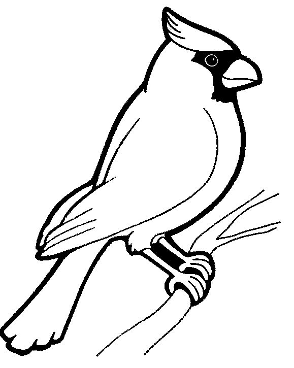 579x725 Coloring Book Birds Best 25 Bird Coloring Pages Ideas