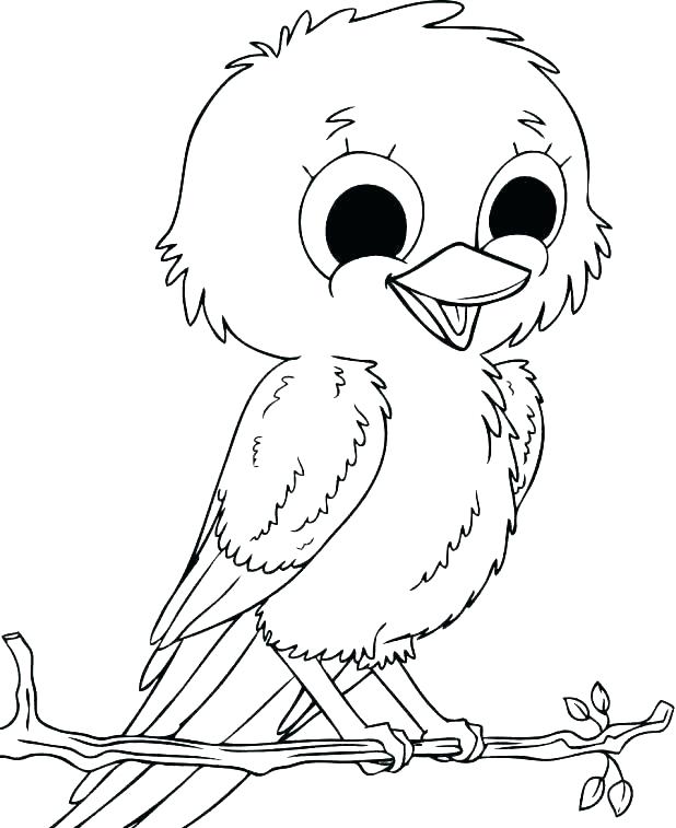 618x757 Coloring Pages Bird Printable Advanced Bird Coloring Pages