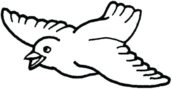600x312 Coloring Pages For Birds Free Coloring Pages Of Birds Bird