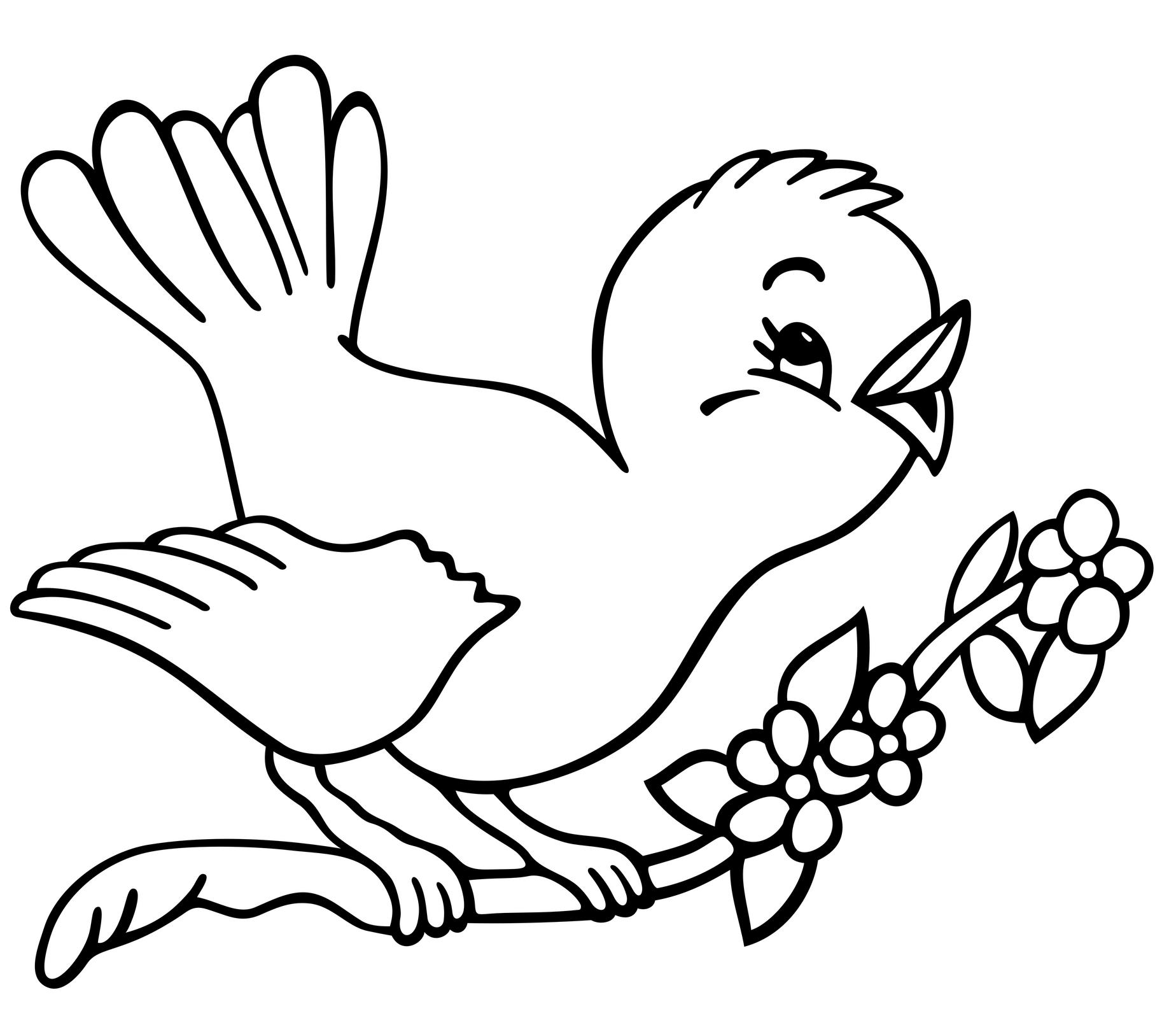 1848x1621 Bird Coloring Page Pages Free For Humorous