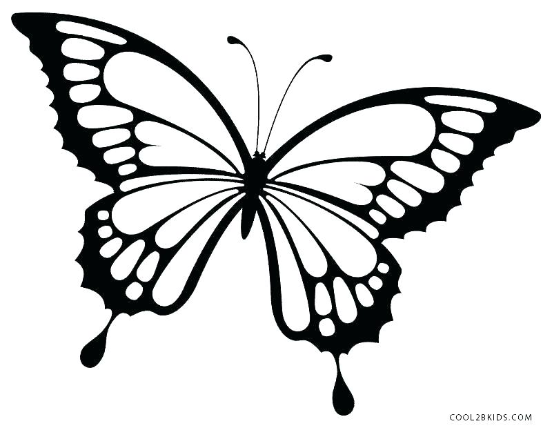 Free Printable Butterfly Coloring Pages