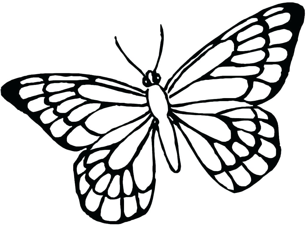 1024x759 Free Printable Butterflies Spring Coloring Page For Kids