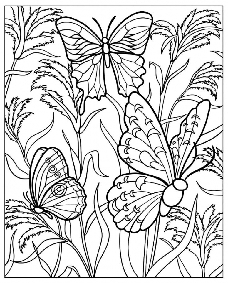 Free Printable Butterfly Coloring Pages For Adults
