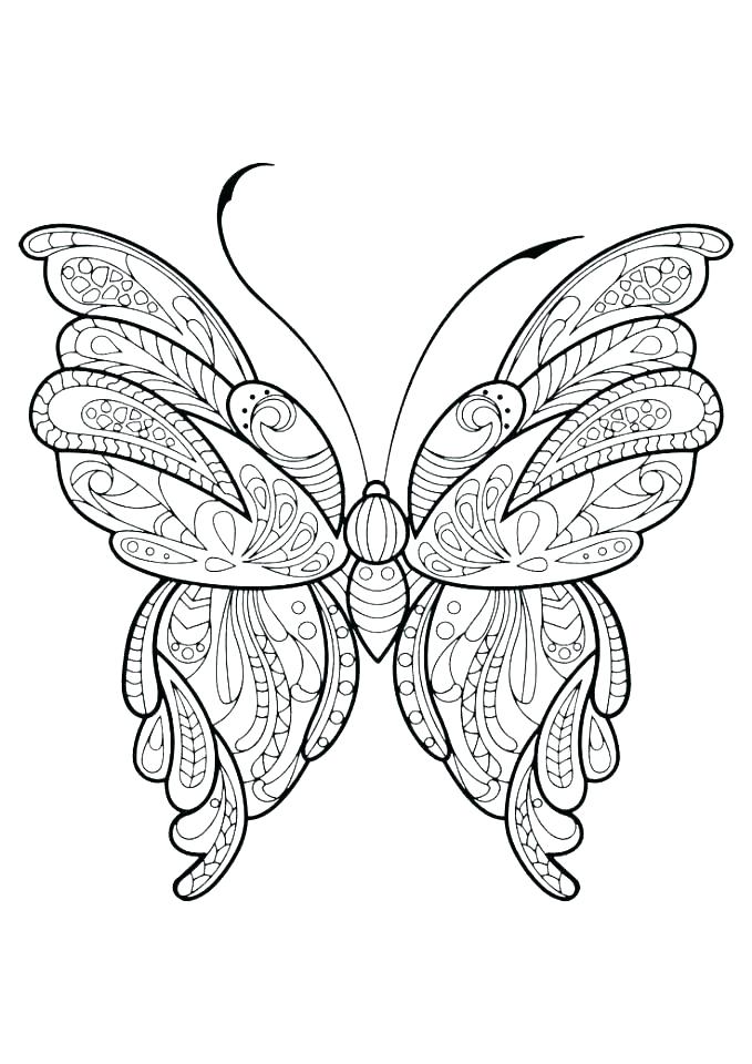 679x960 Coloring Pages Butterflies Life Cycle Of A Butterfly Coloring Page