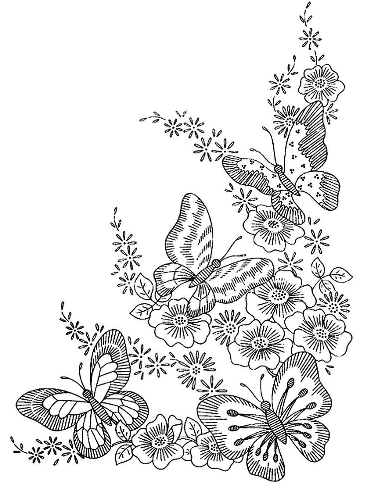 736x1004 87 Best Butterfly Coloring Pages Images On Butterflies