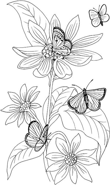 466x780 Free Printable Butterfly Coloring Pages Adults Perfect Butterfly
