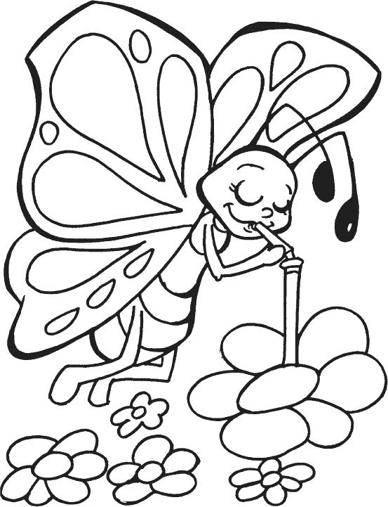 553x721 Free Printable Butterfly Coloring Pages Free Printable Butterfly