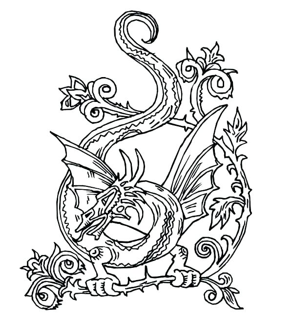 600x658 Celtic Knot Coloring Pages Pdf