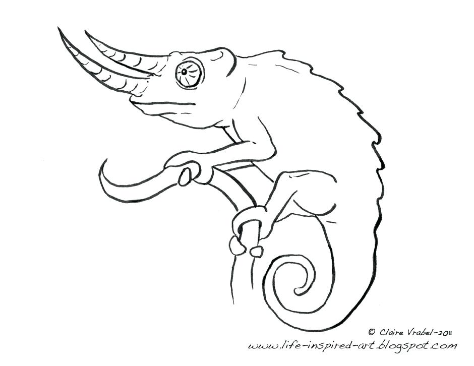 940x726 Chameleon Coloring Pictures Good Chameleon Coloring Pages For Free