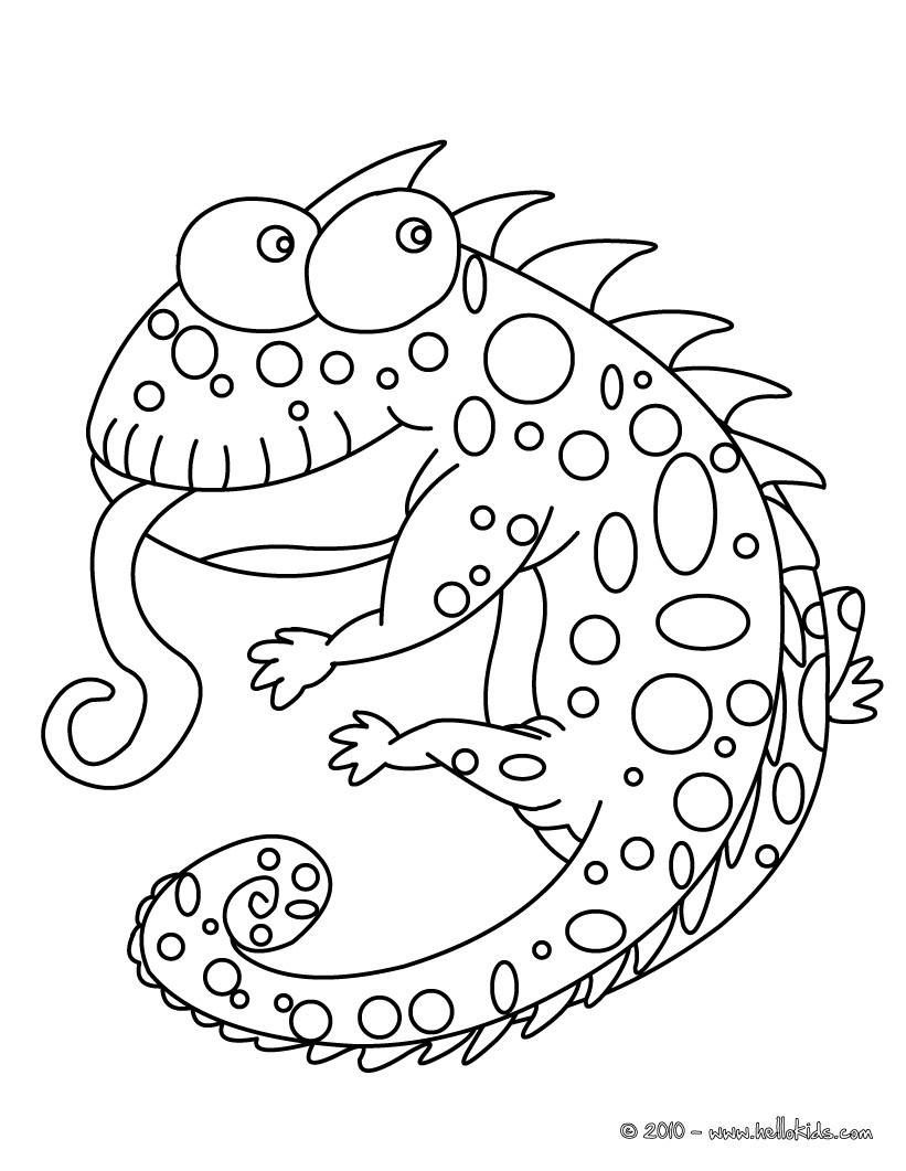 821x1061 Free Printable Chameleon Coloring Pages Printable Coloring